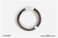 藏品(陶環)的圖片